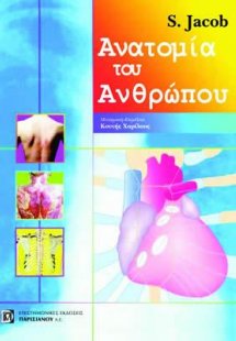 Ανατομία του Ανθρώπου