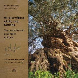 Οι αιωνόβιες ελιές της Κρήτης