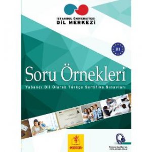 Soru Örnekleri B1
