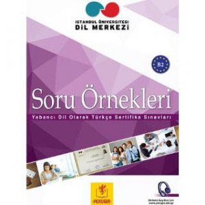 YENİ SORU ÖRNEKLERİ B2