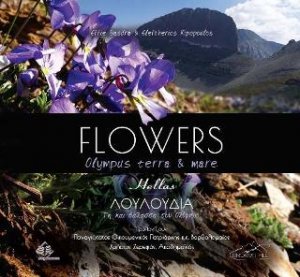 Flowers Olympus terra and mare-Λουλούδια Γη και Θάλασσα του Ολύμπου