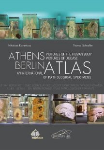 Αθήνα-Βερολίνο, Εικόνες από το Ανθρώπινο Σώμα-Εικόνες Ν...