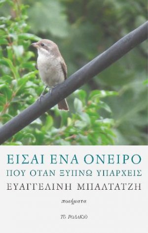 Είσαι ένα όνειρο που όταν ξυπνώ υπάρχεις