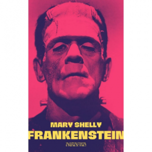Frankestein or the modern Promitheus