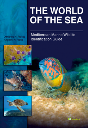 The World of the Sea