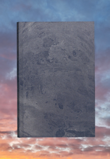 The Sky Only Welcomes Those with Wings