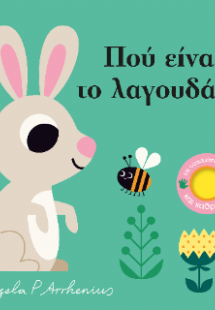 Πού είναι το Λαγουδάκι;