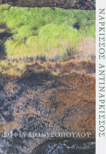 Νάρκισσος Αντινάρκισσος