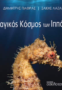 Ο Μαγικός Κόσμος των Ιππόκαμπων