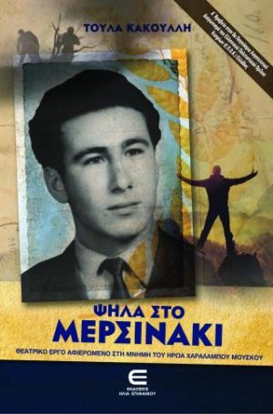 Ψηλά στο Μερσινάκι