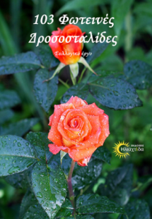 103 Φωτεινές δροσοσταλίδες