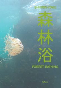 Shinrin-yoku - Forest bathing