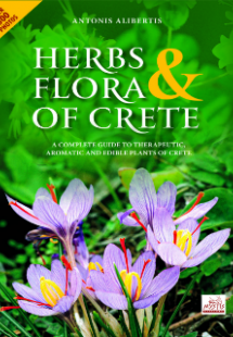 Herbs and Flora Of Crete