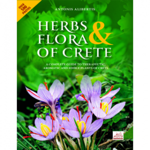 Herbs and Flora Of Crete