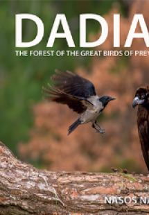 Dadia