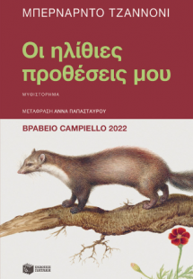 Οι ηλίθιες προθέσεις μου