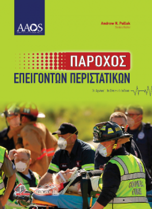 Πάροχος Επειγόντων Περιστατικών