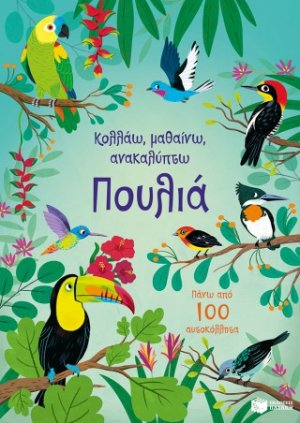 Πουλιά (Σειρά: Κολλάω, μαθαίνω, ανακαλύπτω)