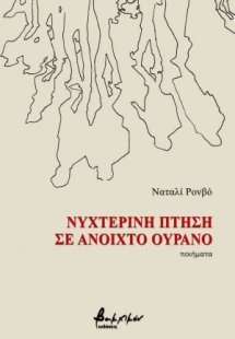 Νυχτερινή πτήση σε ανοιχτό ουρανό