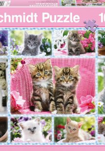 Γατάκια (100 κομμάτια)