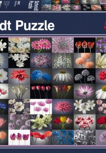 Λουλούδια (2000 κομμάτια)