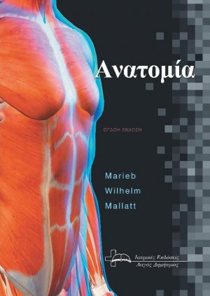 Ανατομία