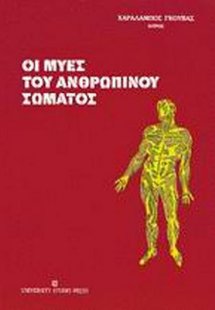 Οι μύες του ανθρώπινου σώματος