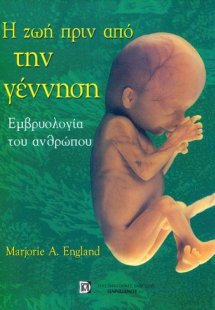 Η ζωή πριν από την γέννηση