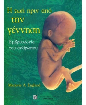 Η ζωή πριν από την γέννηση