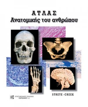 Άτλας ανατομικής του ανθρώπου