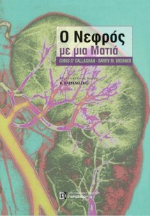 Ο νεφρός με μια ματιά