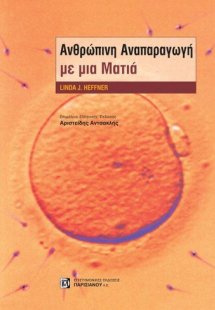 Ανθρώπινη αναπαραγωγή με μια ματιά