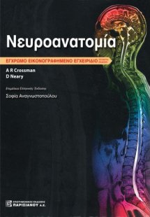 Νευροανατομία