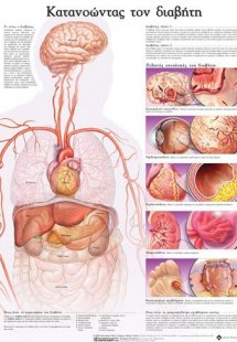 Ανατομικός χάρτης: Κατανοώντας το διαβήτη