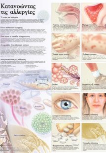 Ανατομικός Χάρτης: Κατανοώντας τις αλλεργίες