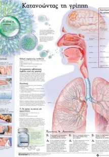 Ανατομικός Χάρτης: Κατανοώντας τη γρίπη