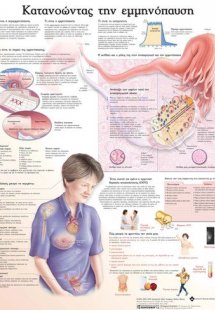 Ανατομικός χάρτης: Κατανοώντας την εμμηνόπαυση