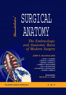 Surgical Anatomy