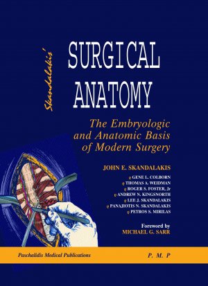 Surgical Anatomy
