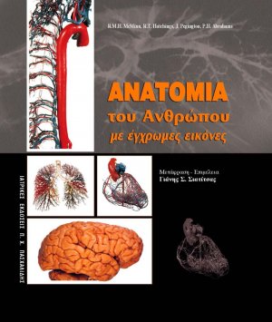 Ανατομία του ανθρώπου με έγχρωμες εικόνες