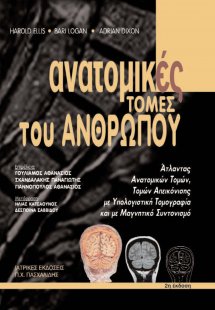 Ανατομικές τομές του ανθρώπου