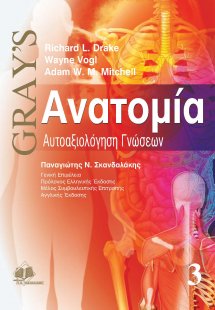 Gray’s ανατομία Γ