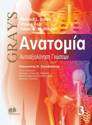 Gray’s ανατομία Γ