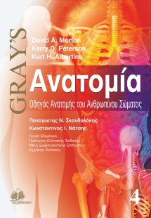 Gray’s ανατομία Δ: Οδηγός Ανατομής του Ανθρώπινου Σώματ...