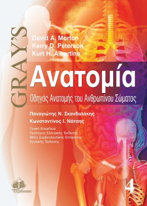 Gray’s ανατομία Δ: Οδηγός Ανατομής του Ανθρώπινου Σώματος