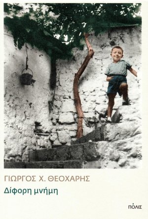 Δίφορη μνήμη