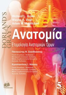 Gray’s ανατομία Ε: Ετυμολογία ανατομικών όρων