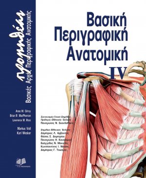 Προμηθέας: Βασική περιγραφική ανατομική ΙV (Βασικές Αρχές Περιγραφικής Ανατομικής)