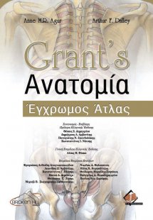 Grant's ανατομία