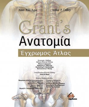 Grant's ανατομία